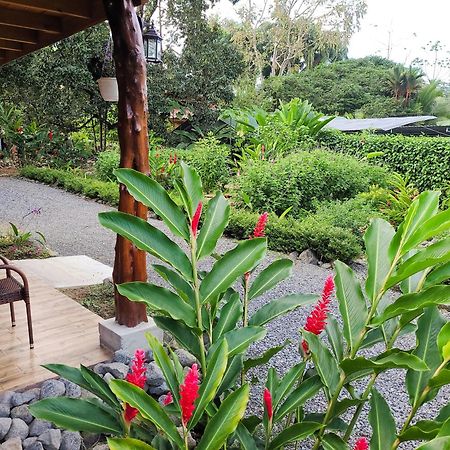 Arenal Sweet Cabins La Fortuna Buitenkant foto