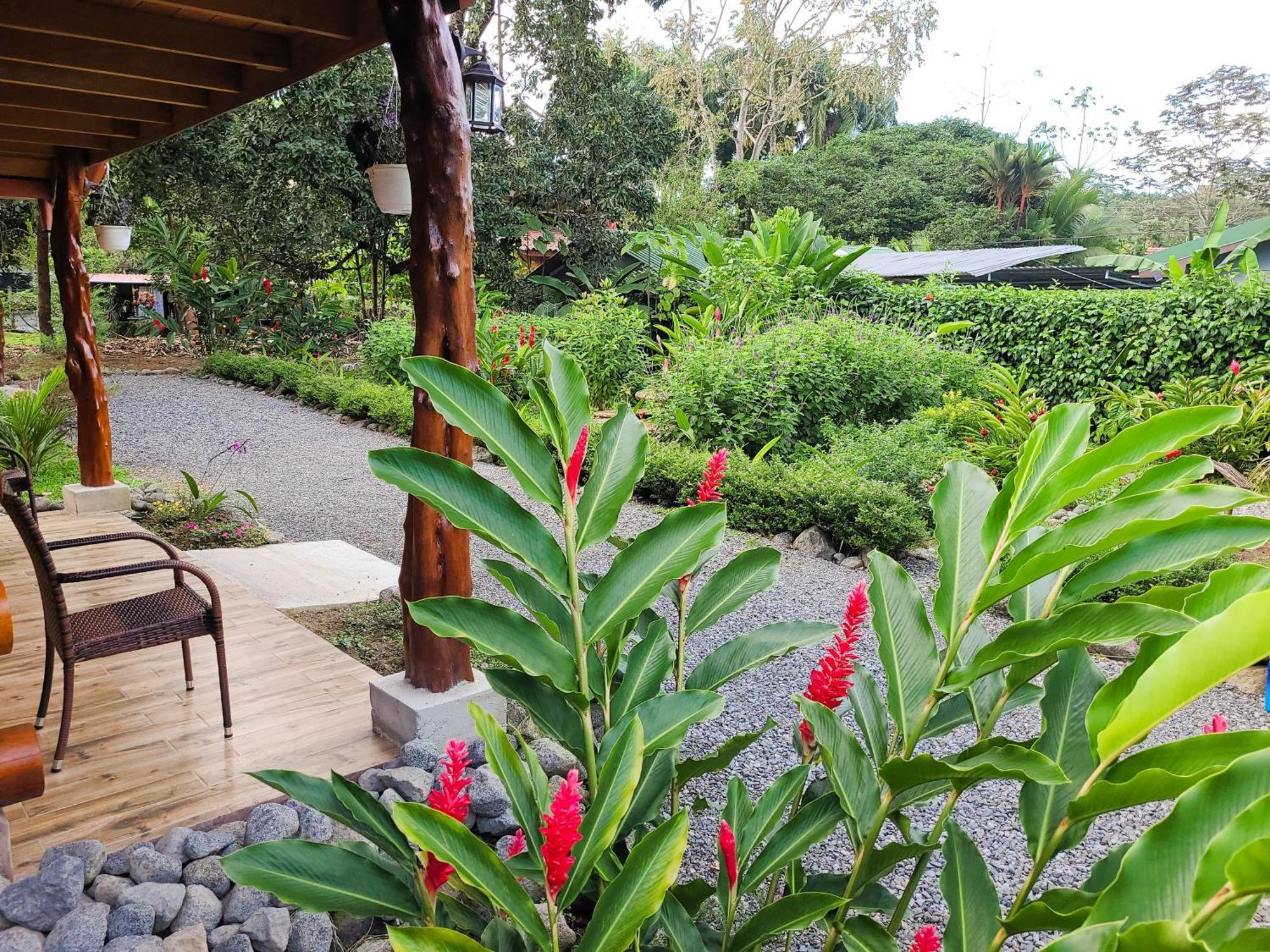 Arenal Sweet Cabins La Fortuna Buitenkant foto