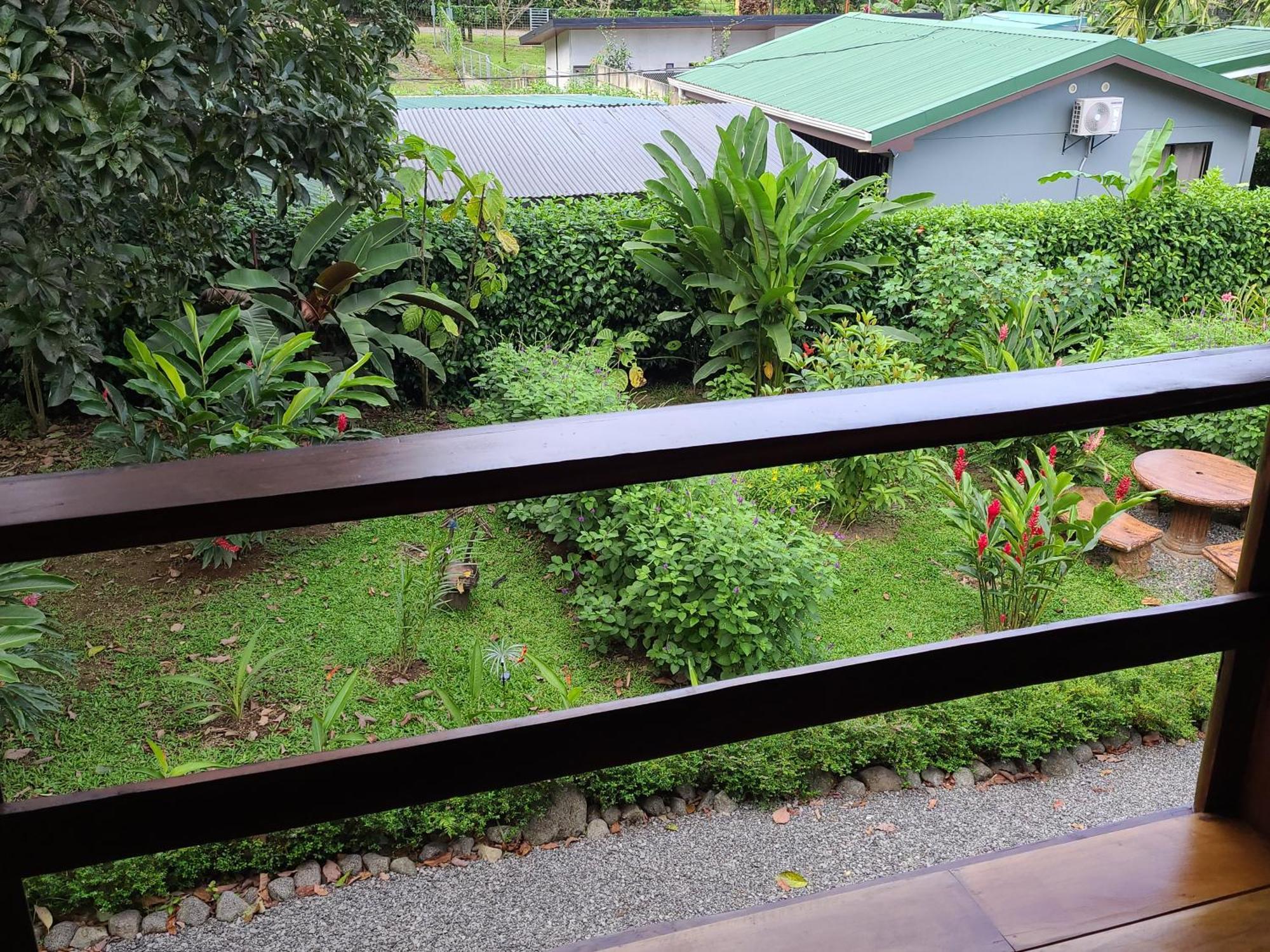 Arenal Sweet Cabins La Fortuna Buitenkant foto