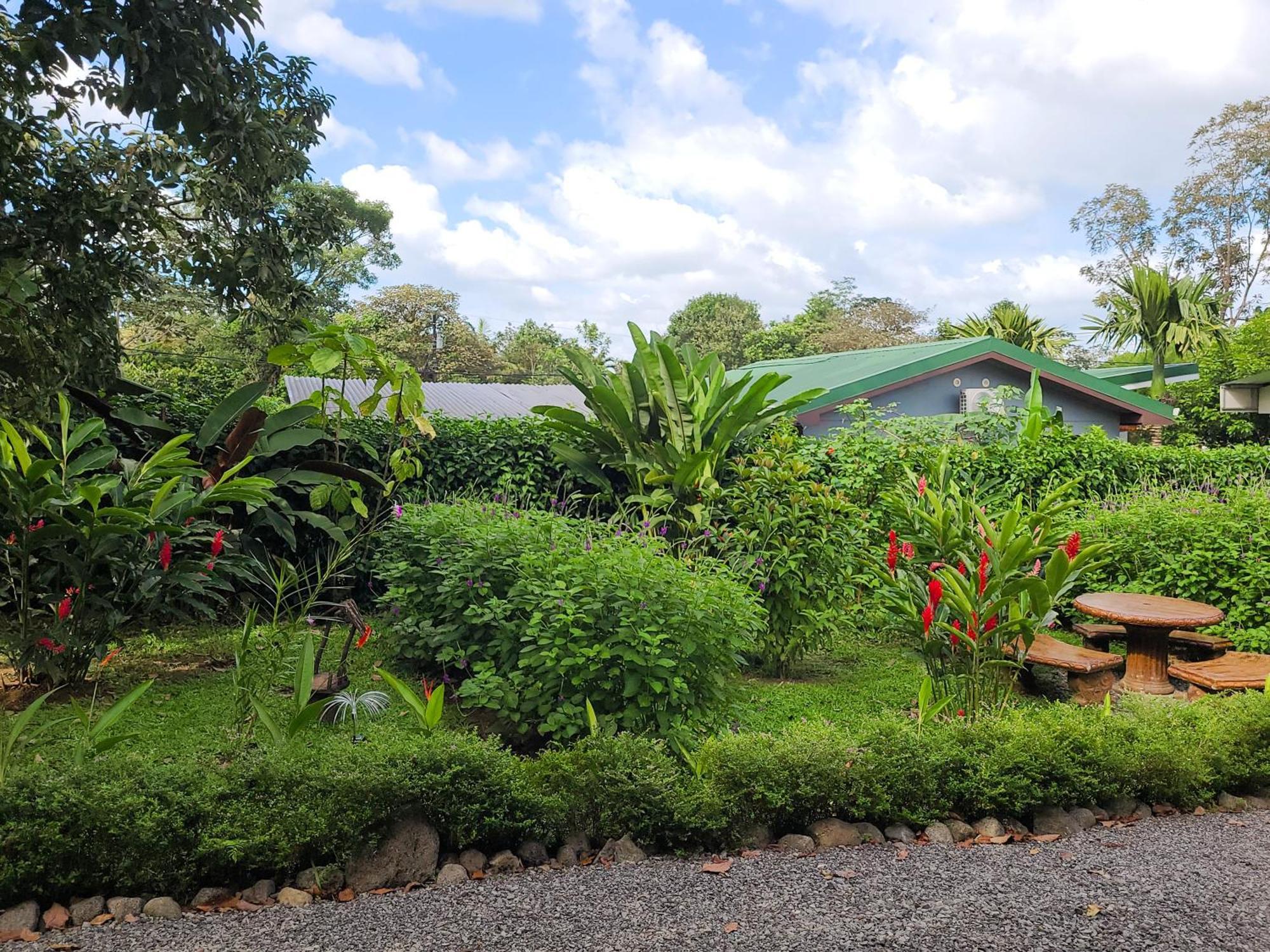Arenal Sweet Cabins La Fortuna Buitenkant foto